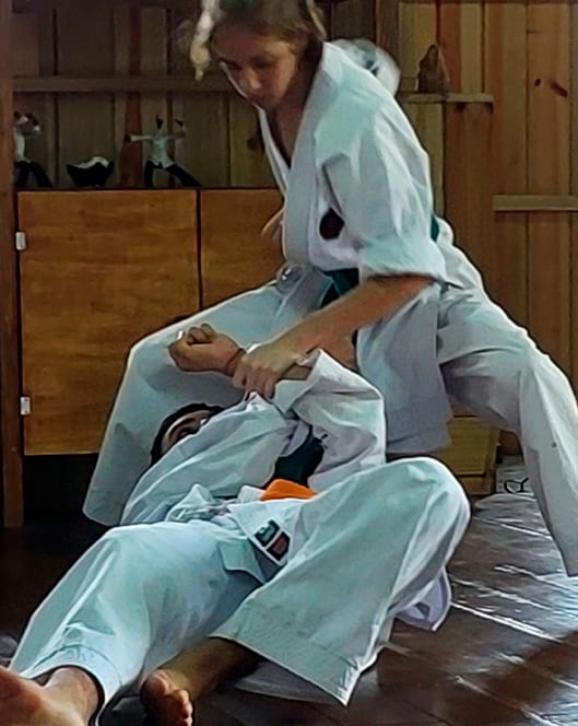 Entrada do Kominka Dojo em um dia claro