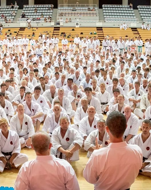 Encontro da IOGKF Brasil reunindo praticantes de Goju-Ryu de Okinawa